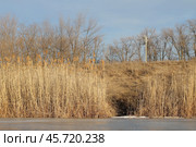 Река и кустарники в зимний период. Стоковое фото, фотограф Elena Kotova / Фотобанк Лори