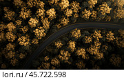 Beautiful autumn landscape with winding road surrounded by vibrant yellow trees. Стоковое AI-изображение, AI-художник Сергей Толмачёв / Фотобанк Лори