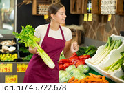 Girl seller of garden stuff store works near showcase, sorting greenery celery. Стоковое фото, фотограф Яков Филимонов / Фотобанк Лори