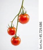 Cherry tomatoes, isolated on white background. Generative AI. Стоковое AI-изображение, AI-художник Андрей Аркуша / Фотобанк Лори