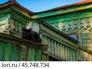 Черный кот лежит на заборе у деревенского дома с резьбой. Стоковое фото, фотограф Илья Старков / Фотобанк Лори