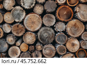 Stacks of lumber. Stacked Wood Logs Pattern Background. Pile of natural wooden trunks. Logging, deforestation, environmental issues. Forest pine and spruce trees. Log pile, lumbering timber industry. Стоковое AI-изображение, AI-художник Марина Демидюк / Фотобанк Лори