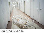 Новорожденный ребенок спит в прозрачной пластиковой люльке, кювезе в роддоме. Младенцу 2 дня. Стоковое фото, фотограф Яна Проничева / Фотобанк Лори