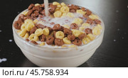 Breakfast Chocolate corn cereal in a bowl with milk. Стоковое видео, видеограф Андрей Армягов / Фотобанк Лори