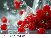 Fresh redcurrants splashing into water with grey background. Стоковое AI-изображение, AI-художник Иван Рябоконь / Фотобанк Лори