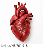 Realistic anatomical model of human heart showing arteries and veins. Стоковое AI-изображение, AI-художник Иван Рябоконь / Фотобанк Лори