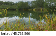 Landscape on small north lake. Стоковое видео, видеограф Михаил Коханчиков / Фотобанк Лори