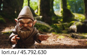 Gnome practicing kung fu in the forest. Стоковое видео, видеограф Данил Руденко / Фотобанк Лори
