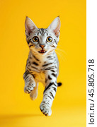 Portrait of a jumping Egyptian Mau cat on a yellow background. Стоковое AI-изображение, AI-художник ArtVladZ / Фотобанк Лори