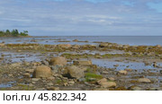 Northern White Sea in Karelia, Russia. Стоковое видео, видеограф Михаил Коханчиков / Фотобанк Лори