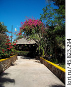 Yucatan / Mexico - 12 Mar 2011: The local restaurant, Yucatan, Mexico. Редакционное фото, фотограф Сергей Стрелков / Фотобанк Лори