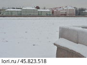 Санкт-Петербург. Река Нева. Ненастная погода (2016 год). Стоковое фото, фотограф Александр Алексеев / Фотобанк Лори