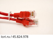 Red internet cable on a white background. The RJ-45 connector. Стоковое фото, фотограф Valeriy Lushchikov / Фотобанк Лори