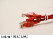 Red internet cable on a white background. The RJ-45 connector. Стоковое фото, фотограф Valeriy Lushchikov / Фотобанк Лори