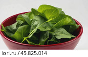Fresh spinach leaves in bowl isolated on white. Green vegan breakfast meal. Plate of greenery. Clean eating, dieting, vegan food concept. Healthy diet design project. Organic Baby Spinach. Leaf salad. Стоковое AI-видео, аниматор Марина Демидюк / Фотобанк Лори