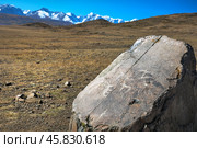 Камень с древними рисунками (петроглифами) в Курайской степи на фоне Северо-Чуйского хребта. Кош-Агачский район горного Алтая. (2022 год). Стоковое фото, фотограф Евгений Мухортов / Фотобанк Лори