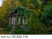 Зарастающий деревенский дом. Стоковое фото, фотограф Илья Старков / Фотобанк Лори