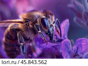 Honey bee pollinating purple flower in extreme macro photography. Стоковое AI-изображение, AI-художник Иван Рябоконь / Фотобанк Лори
