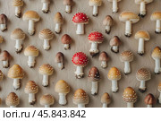 Fly agaric mushrooms and panther cap mushrooms creating a colorful pattern. Стоковое AI-изображение, AI-художник Иван Рябоконь / Фотобанк Лори