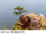 Крутые склоны мыса Мартьян (2024 год). Редакционное фото, фотограф Валерий Гаврилюк / Фотобанк Лори