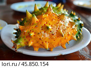 Kiwano horned melon resting on plate. Стоковое AI-изображение, AI-художник Иван Рябоконь / Фотобанк Лори