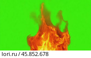 Orange Red Flames Engulf on green screen background. Vibrant fire animated on green backdrop. Burning flame animation. Frame Template. Chroma key. Motion graphics. Creative video for overlay. Inferno. Стоковое AI-видео, аниматор Марина Демидюк / Фотобанк Лори