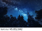 Magical fireflies illuminating night forest under milky way galaxy. Стоковое AI-изображение, AI-художник Иван Рябоконь / Фотобанк Лори
