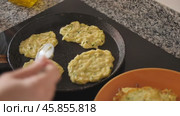 On plate are vegetable pancakes made from grated zucchini. Стоковое видео, видеограф Яков Филимонов / Фотобанк Лори