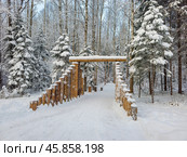 Ecotrail in a snowy winter forest, log entrance. Стоковое фото, фотограф Саблин Станислав / Фотобанк Лори