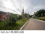 Московская область, город Можайск, вид на Можайский кремль и Ново-Никольский собор (2022 год). Редакционное фото, фотограф Литвяк Игорь / Фотобанк Лори