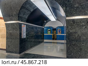 Вагоны состава у платформы. Станция Петербургского метрополитена «Горный институт». Город Санкт-Петербург. Редакционное фото, фотограф Румянцева Наталия / Фотобанк Лори