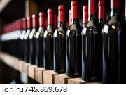 Wine bottles resting on wooden shelves in winery cellar. Стоковое AI-изображение, AI-художник Иван Рябоконь / Фотобанк Лори
