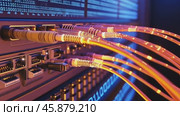 Fiber optic cables transferring data in server room. Стоковое AI-видео, аниматор Юрий Поздников / Фотобанк Лори