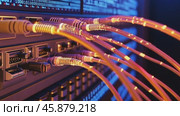 Fiber optic cables transmit data in server rack. Стоковое AI-видео, аниматор Юрий Поздников / Фотобанк Лори