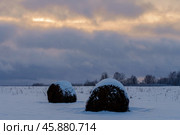 Рулоны прессованного сена в поле зимой. Стоковое фото, фотограф glokaya_kuzdra / Фотобанк Лори