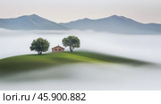Serene mountain landscape with mist and rolling hills – tranquil nature scene. Стоковое AI-изображение, AI-художник ФотоИнтеллект / Фотобанк Лори