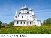 Старинный Собор Воздвижения Креста Господня (1658г.) солнечным майским днем. Тутаев. Ярославская область (2024 год). Стоковое фото, фотограф Виктор Карасев / Фотобанк Лори