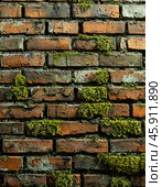 Efflorescence is a whitish trace on the surface of brickwork, represented by a mixture of chemical compounds of salts. Mold on a wet wall, lichens, moss. Стоковое AI-изображение, AI-художник Сергей Елизарьев / Фотобанк Лори