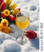 International Women's Day March 8th. Tulips in the snow. Beautiful card for March 8th. Стоковое AI-изображение, AI-художник Сергей Елизарьев / Фотобанк Лори