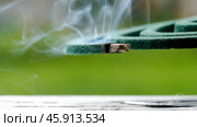 coil against insects or mosquitoes in nature. Стоковое фото, фотограф Igor Skripachev / Фотобанк Лори