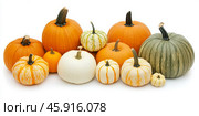Colorful Variety of Pumpkins isolated on white. Autumn. Types of Squash cut out. Vibrant diverse collection of pumpkins in various colors and sizes. Assortment of multi colored decorative gourds. Стоковое AI-изображение, AI-художник Марина Демидюк / Фотобанк Лори