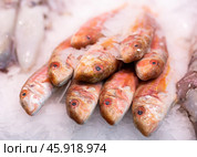 Red mullet fish on ice in market. Стоковое фото, фотограф Яков Филимонов / Фотобанк Лори