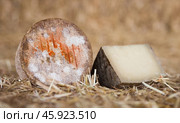 whole head of ripe country cheese and slices on hay. Стоковое фото, фотограф Татьяна Яцевич / Фотобанк Лори