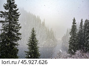 Непогода. Горное озеро Каинды. Республика Казахстан. Стоковое фото, фотограф Александр Тараканов / Фотобанк Лори