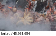 Grilled octopus cooking over open flames with smoky effect for food enthusiasts. Стоковое видео, видеограф Антон Гвоздиков / Фотобанк Лори