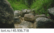 Close-up of a rocky hiking trail and brook with crystal clear water surrounded by green plants and moss in the Austrian wilderness. Стоковое видео, видеограф Igor Tichonow / Фотобанк Лори