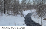 Video of winter landscape with non-freezing stream into which natural springs and sources flow. Snow-covered river bank and forest. Winter travels and outdoors during New Year holidays. Стоковое видео, видеограф Виктория Катьянова / Фотобанк Лори