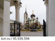 Городской пейзаж. Благовещенский кафедральный собор. Вид из парка "Орленок". Воронеж. Редакционное фото, фотограф Владимир Шибаев / Фотобанк Лори