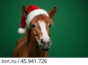 New Year horse Portrait in Santa Claus Hat Green, Christmas Card. AI-generated. Стоковое AI-изображение, AI-художник Spirit River / Фотобанк Лори