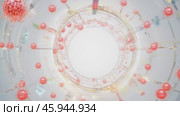 Red blood cells flowing through vein with copy space. Стоковое видео, видеограф Данил Руденко / Фотобанк Лори